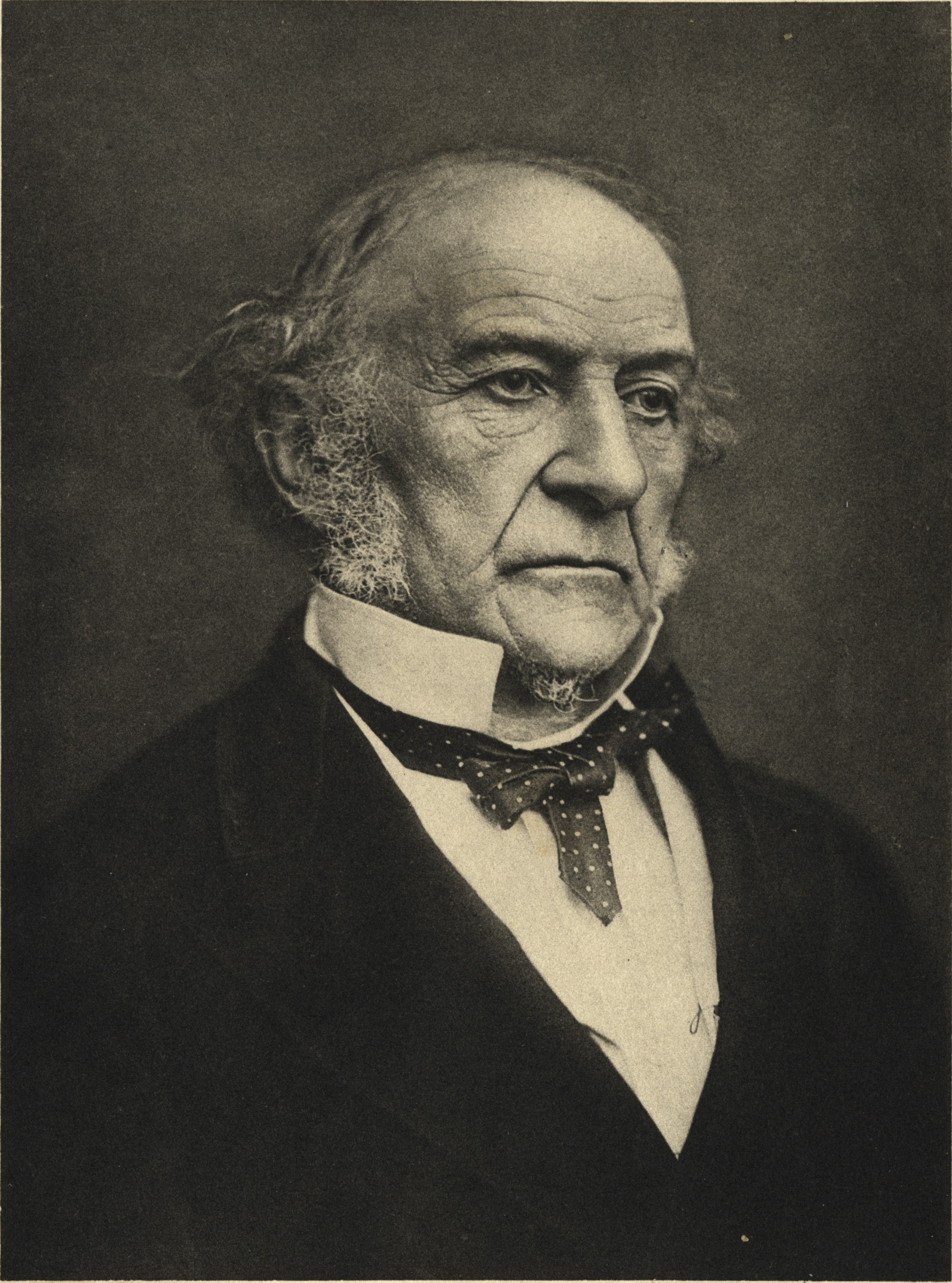 Portrait of W. E. (William Ewart) Gladstone