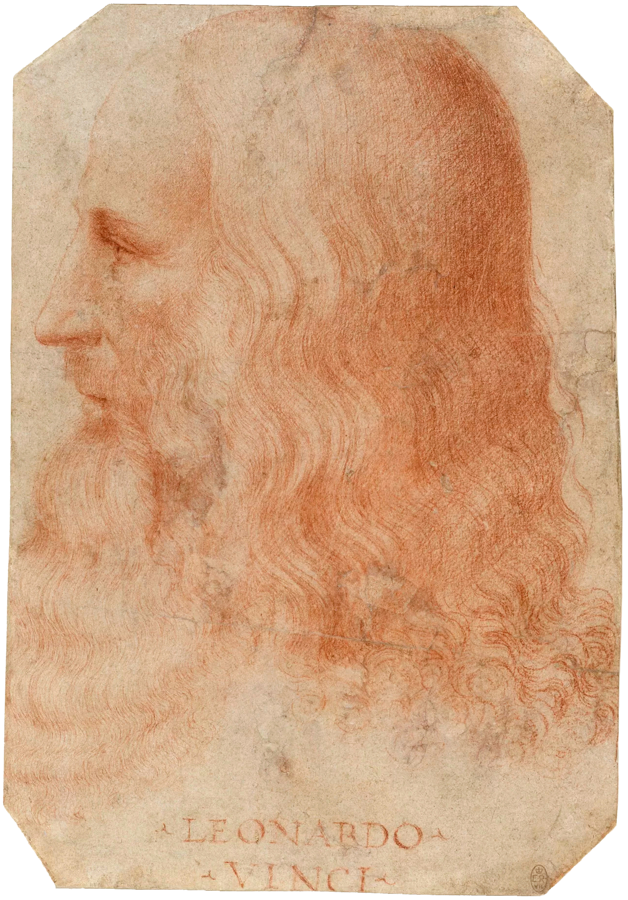 Portrait of da Vinci Leonardo