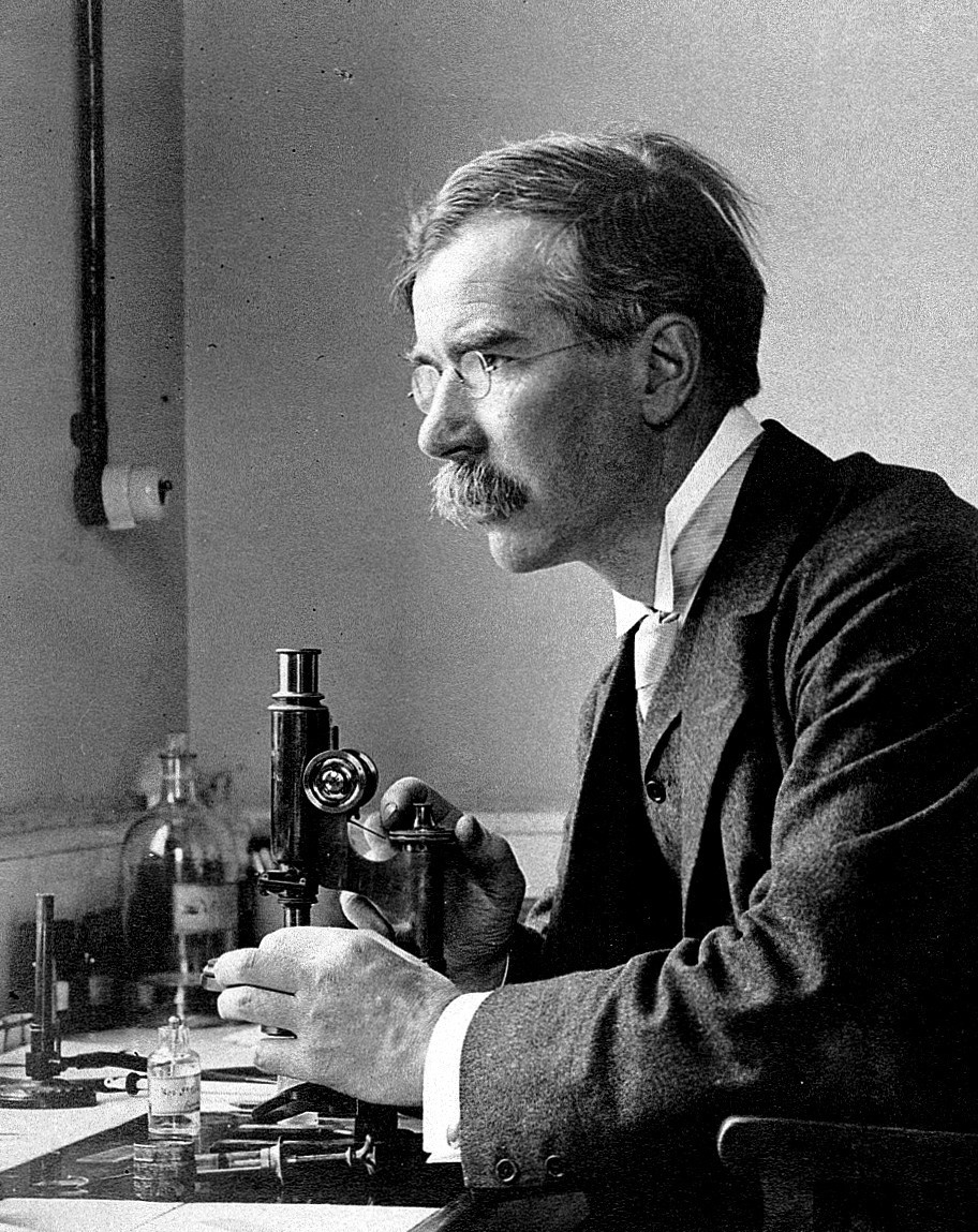 Portrait of Almroth Wright
