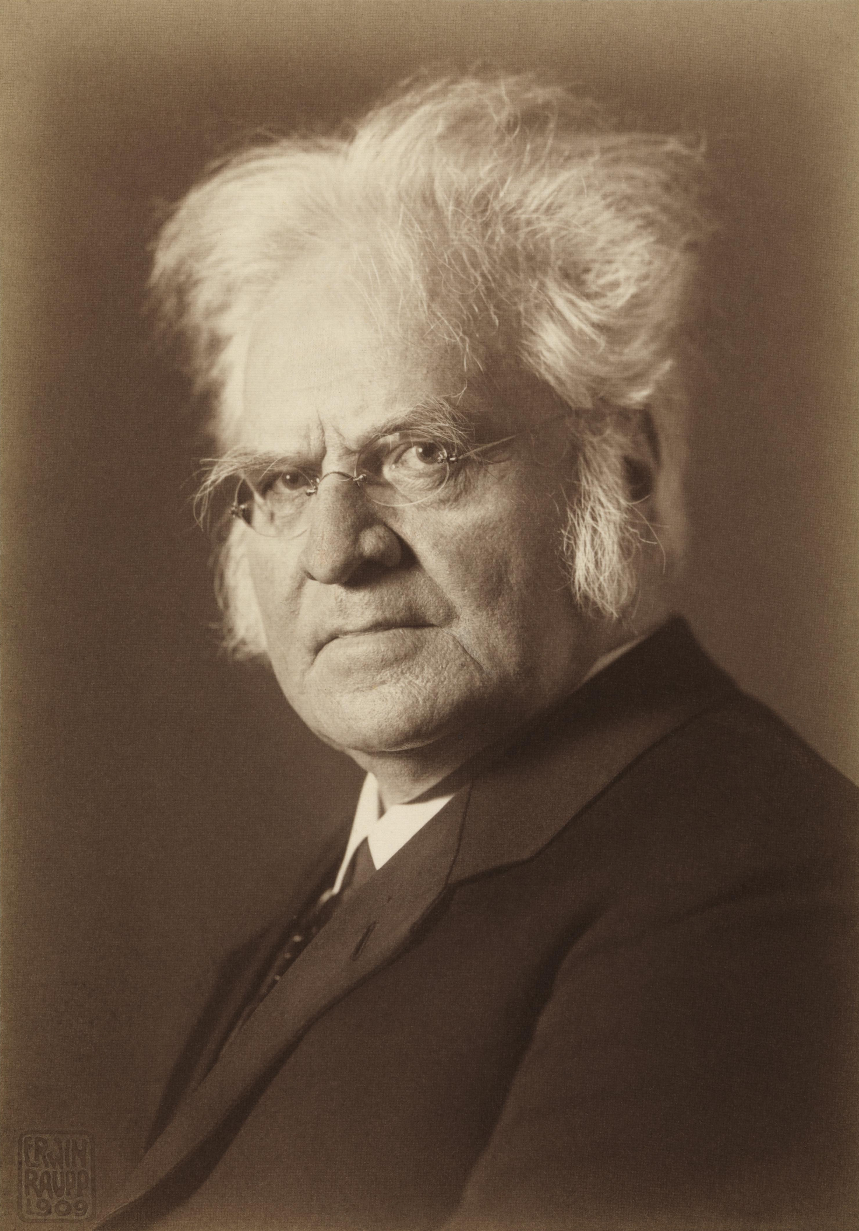 Portrait of Bjørnstjerne Bjørnson