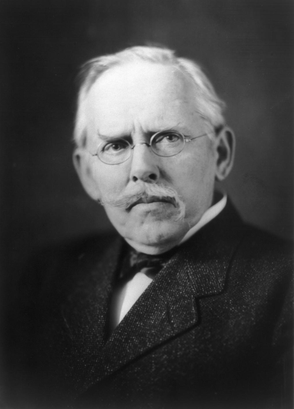 Portrait of Jacob A. (Jacob August) Riis