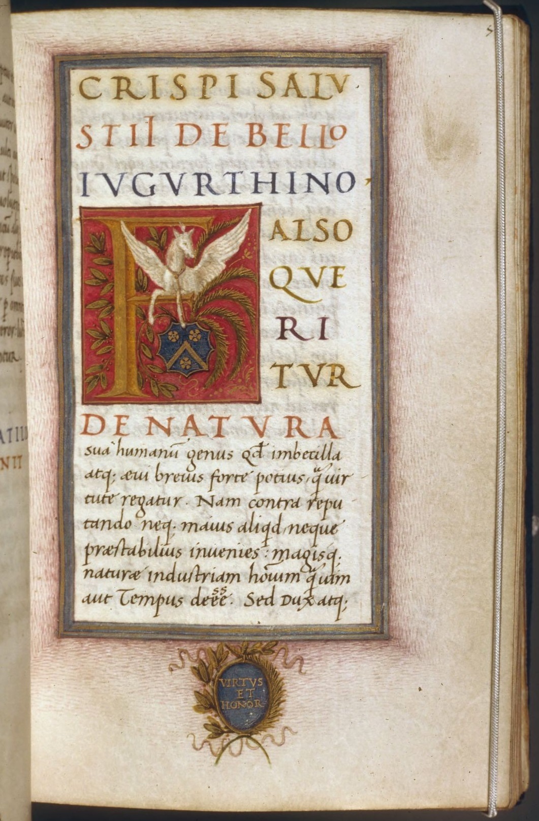 Portrait of Sallust