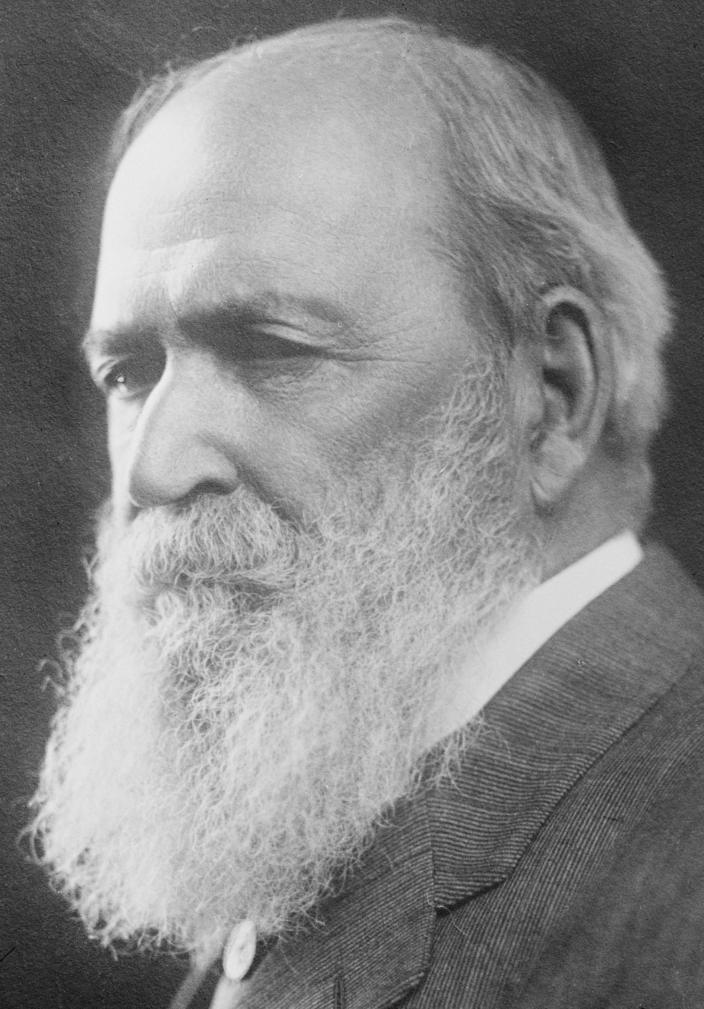 Portrait of Basil L. (Basil Lanneau) Gildersleeve