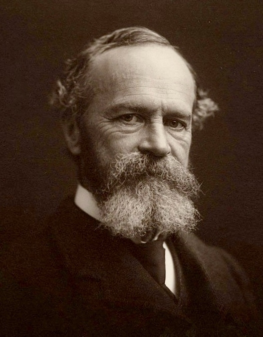 Portrait of William James