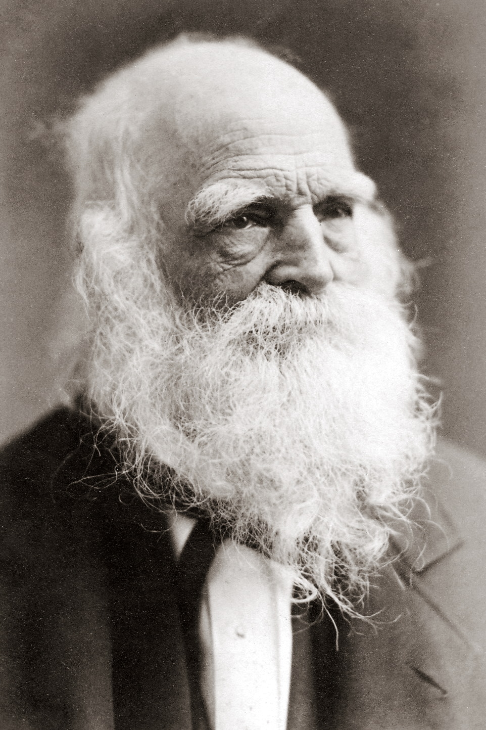 Portrait of William Cullen Bryant