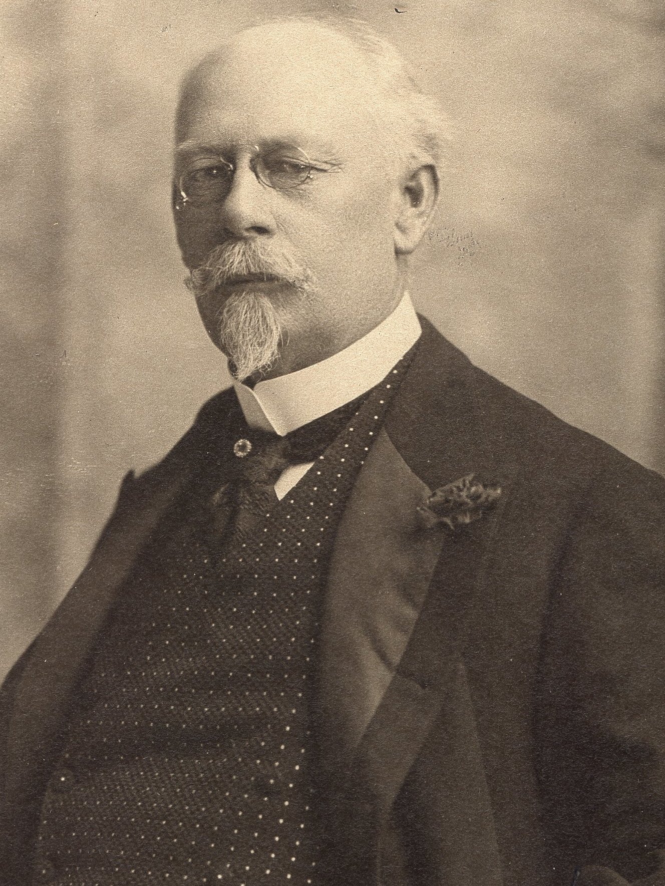 Portrait of George W. (George Wilbur) Peck