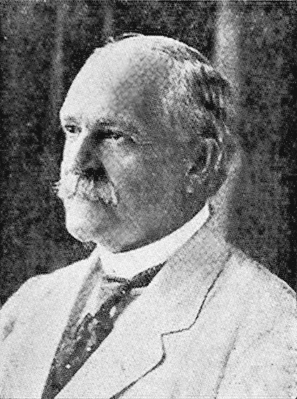 Portrait of W. D. (William Drake) Westervelt