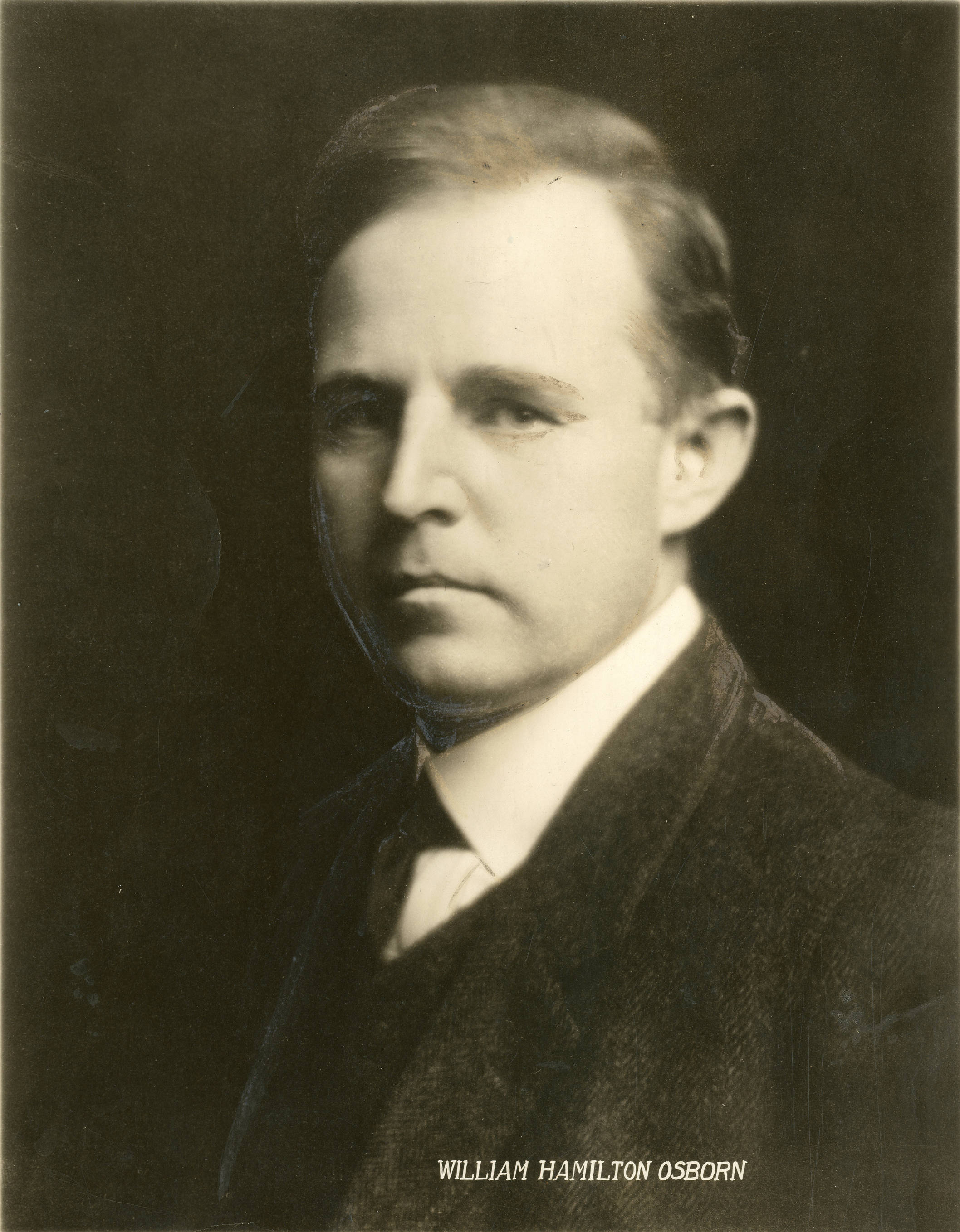 Portrait of William Hamilton Osborne