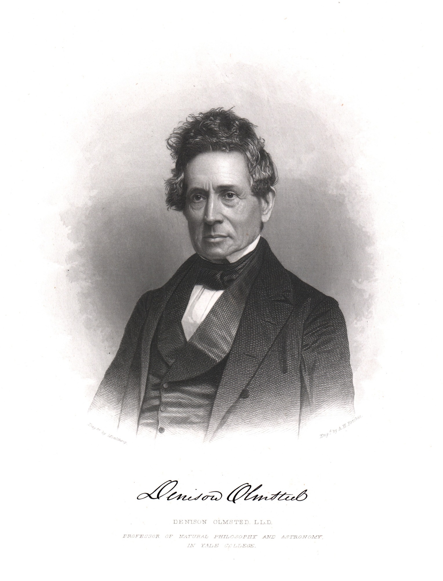 Portrait of Denison Olmsted