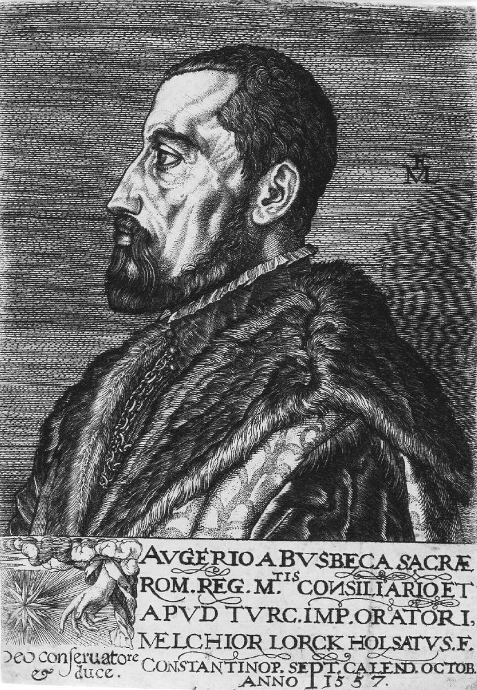 Portrait of Ogier Ghislain de Busbecq