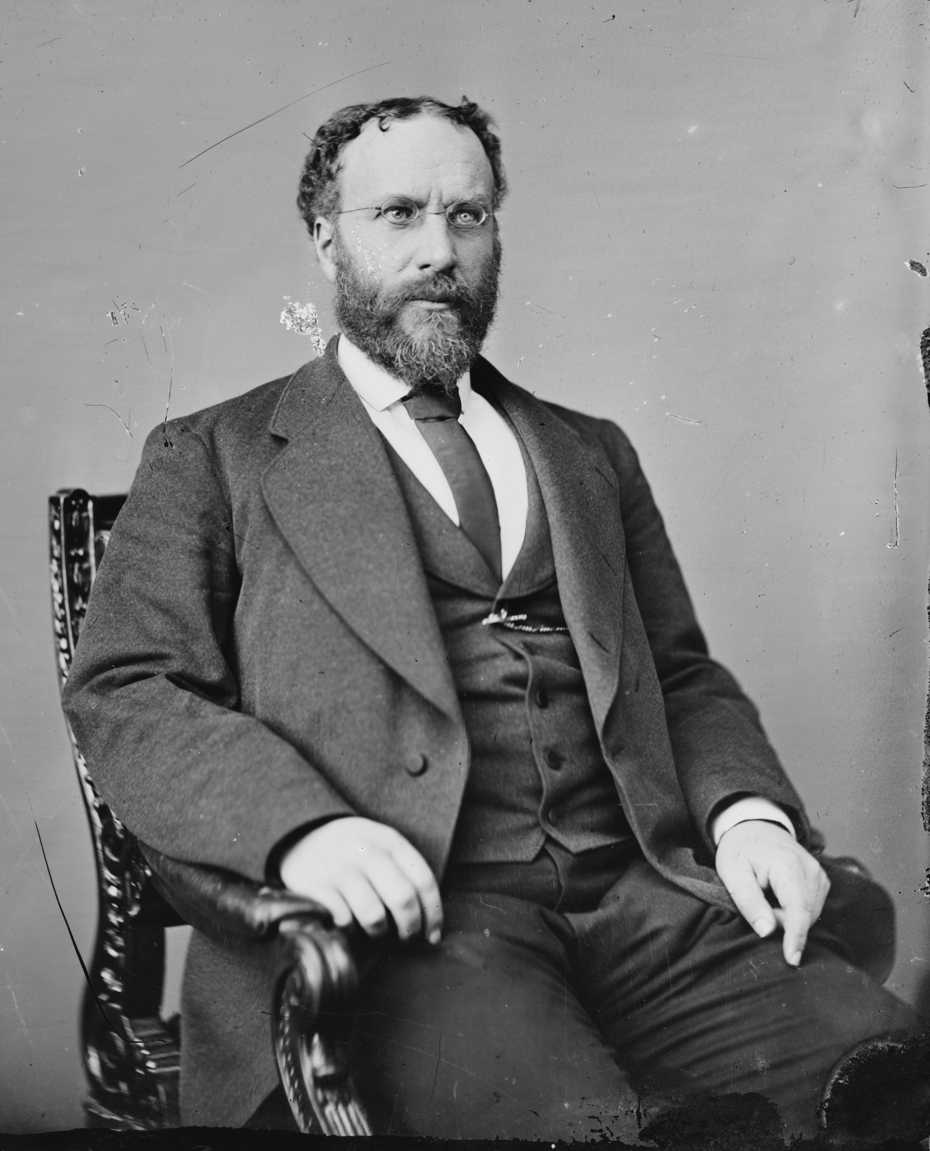 Portrait of Robert Barnwell Roosevelt