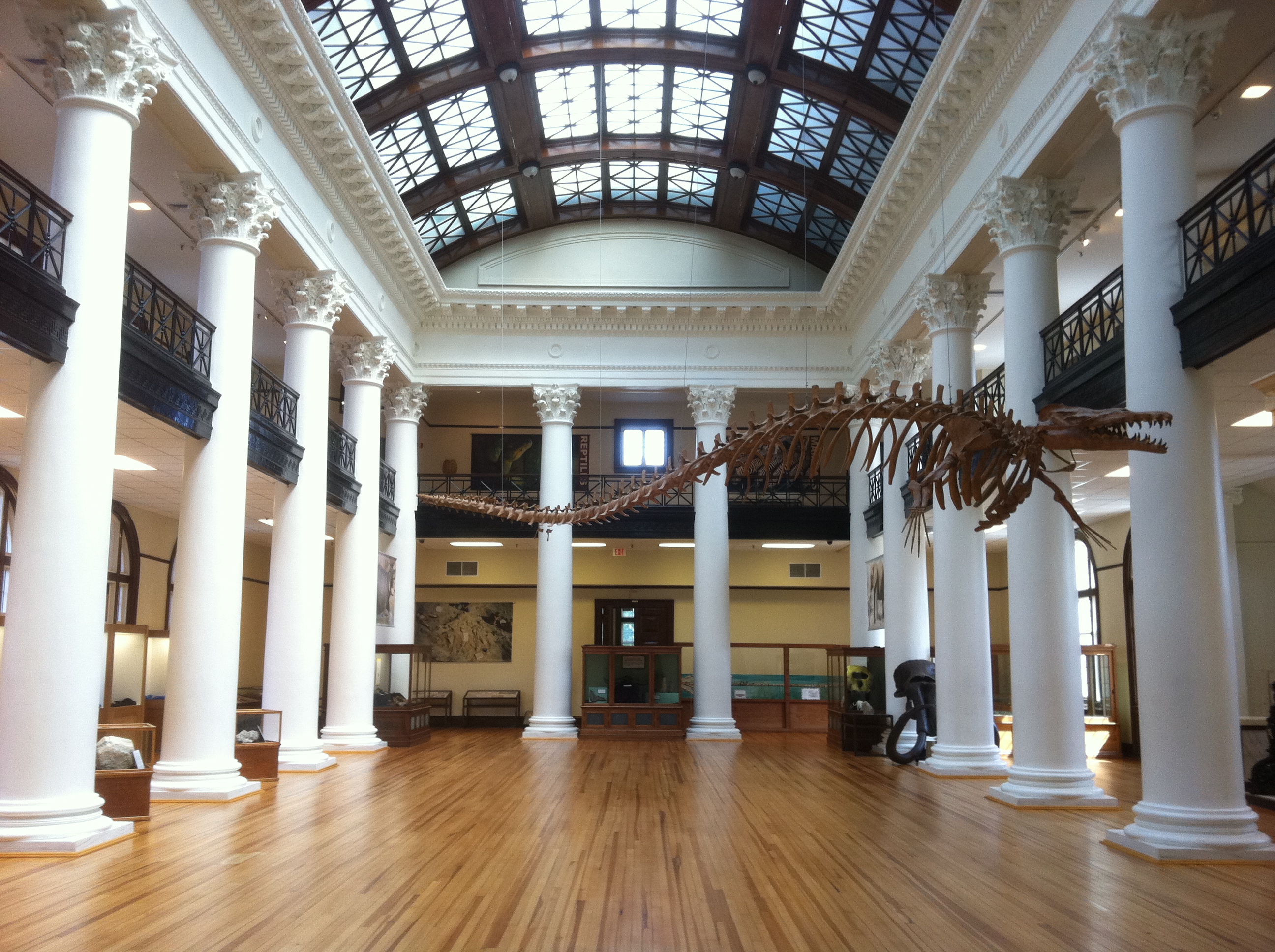 Portrait of Alabama Museum of Natural History