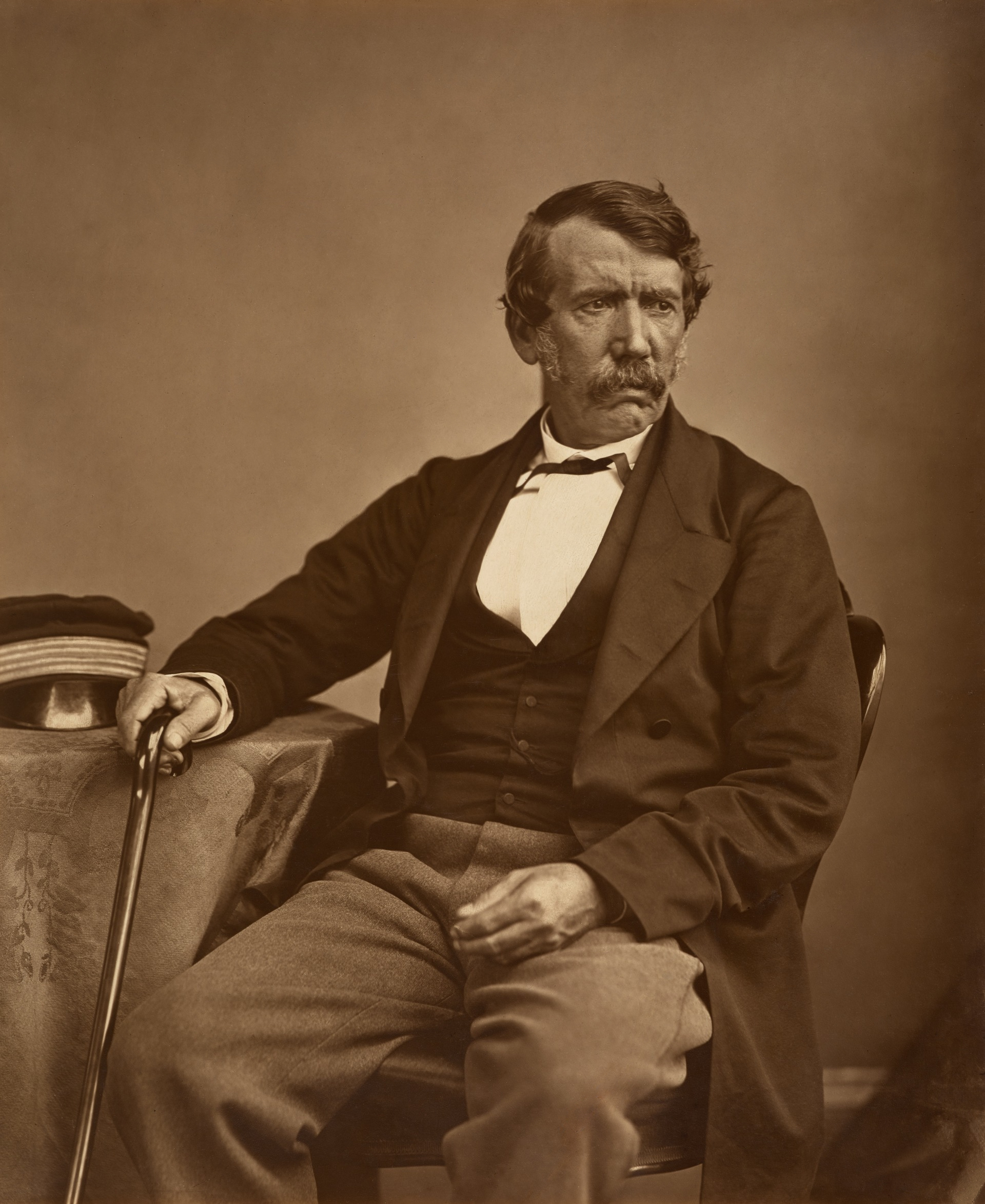 Portrait of David Livingstone