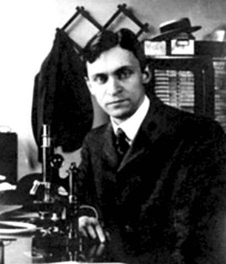 Portrait of Eugene L. (Eugene Lindsay) Opie