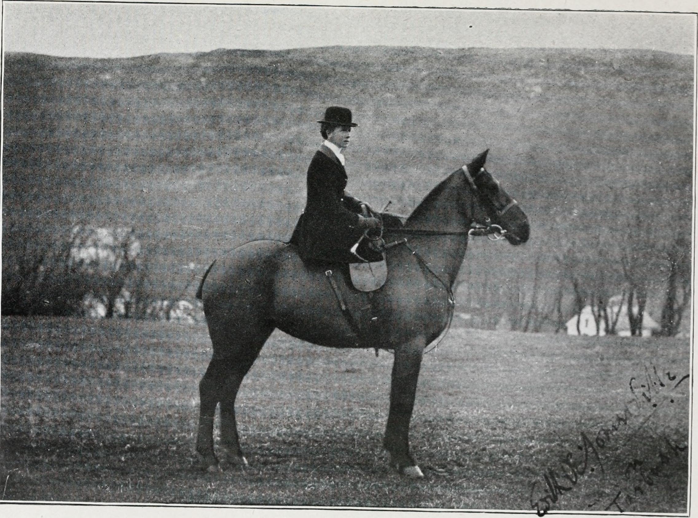 Portrait of E. Oe. (Edith Oenone) Somerville