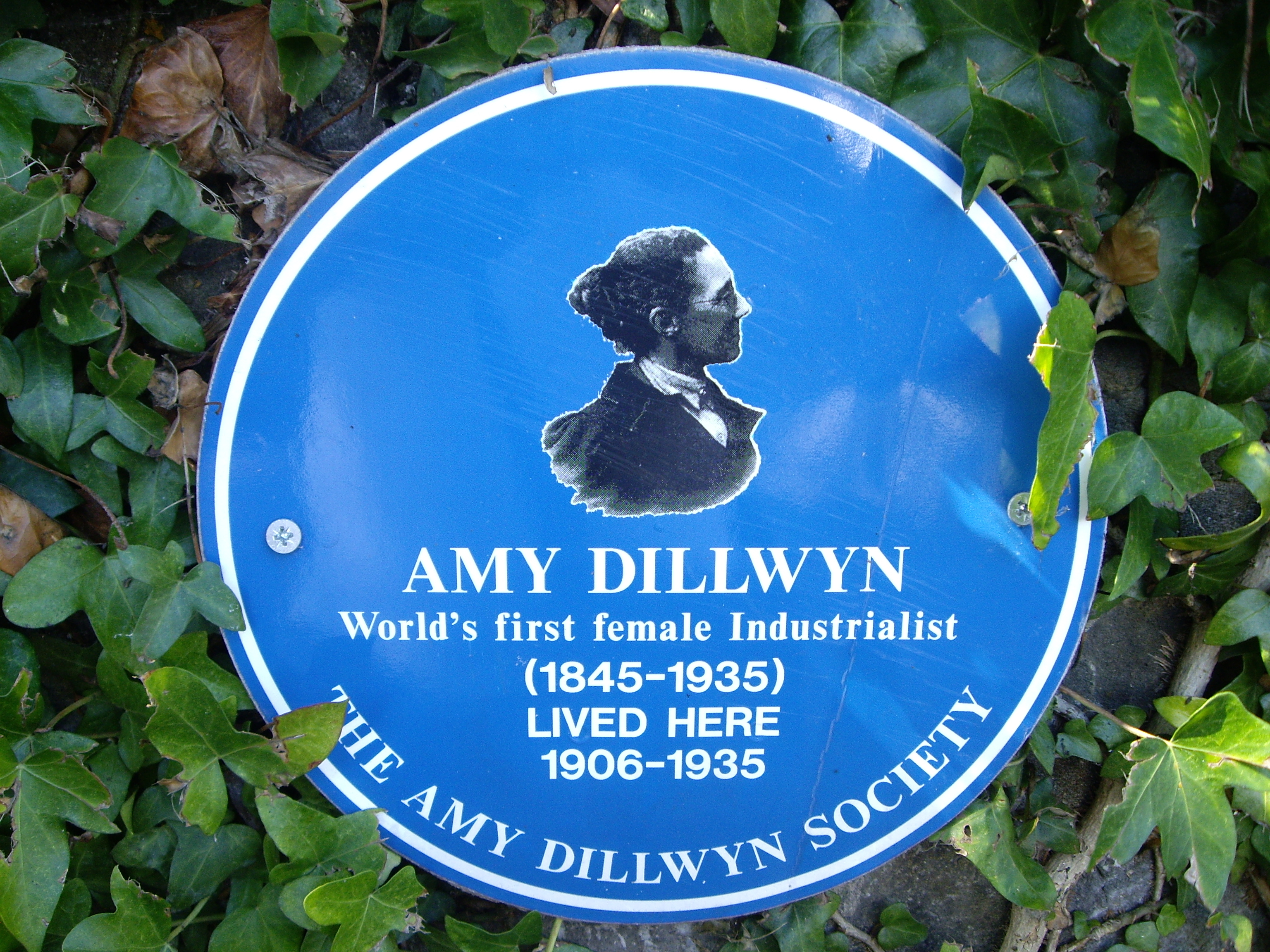 Portrait of E. A. (Elizabeth Amy) Dillwyn