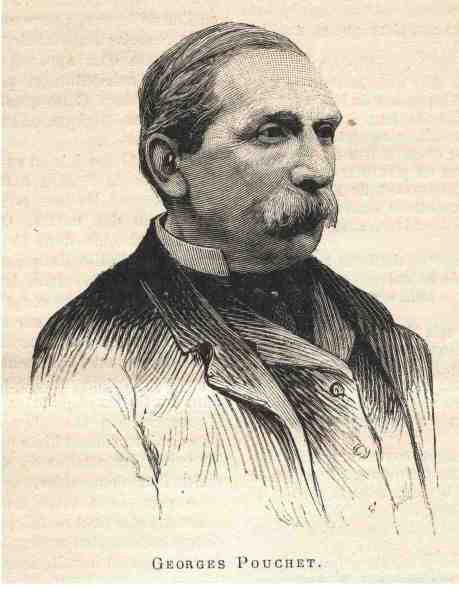 Portrait of G. (Georges) Pouchet