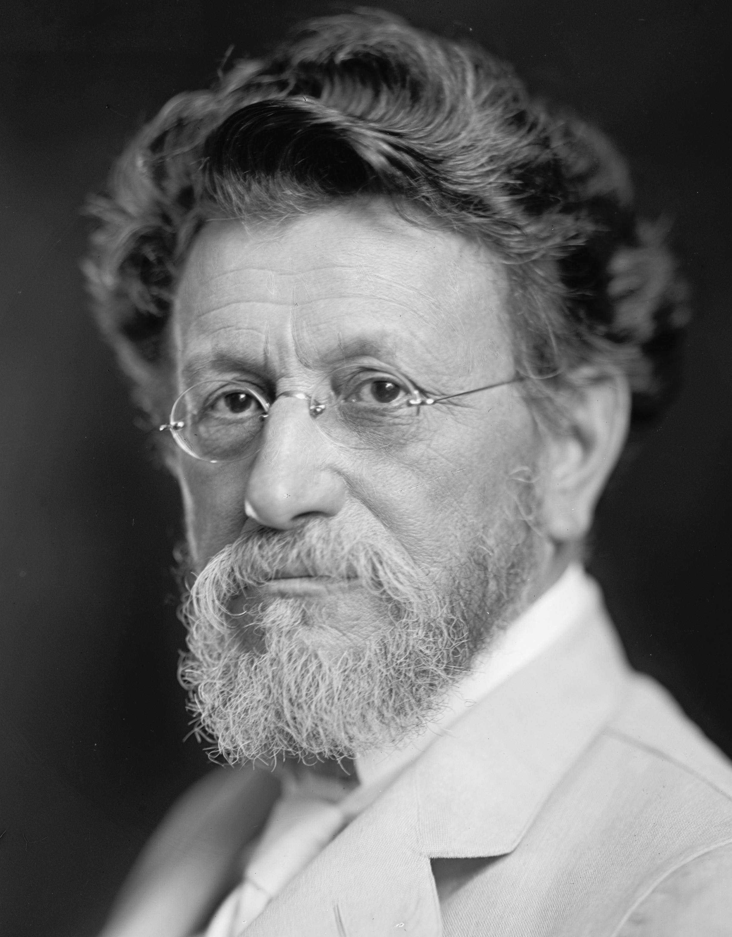 Portrait of Louis F. (Louis Freeland) Post