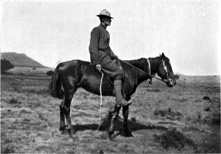 Portrait of Howard Clemens Hillegas