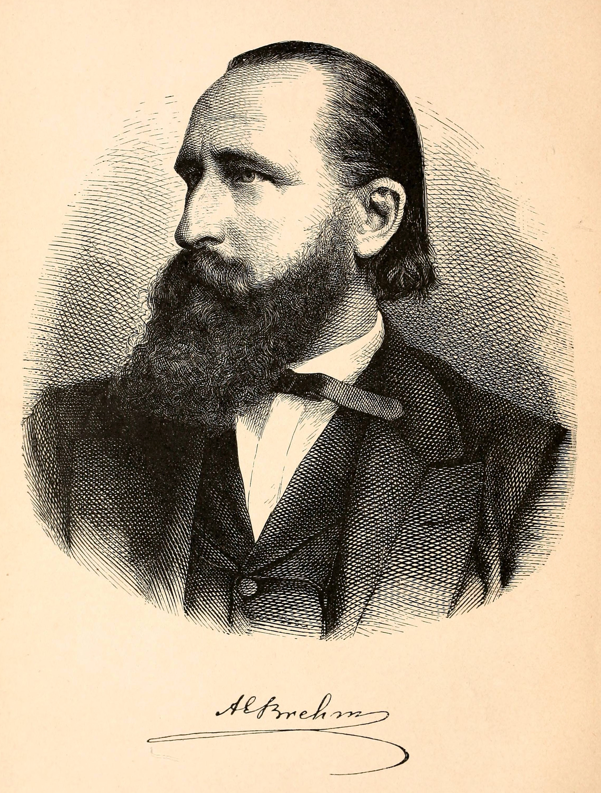 Portrait of Alfred Edmund Brehm