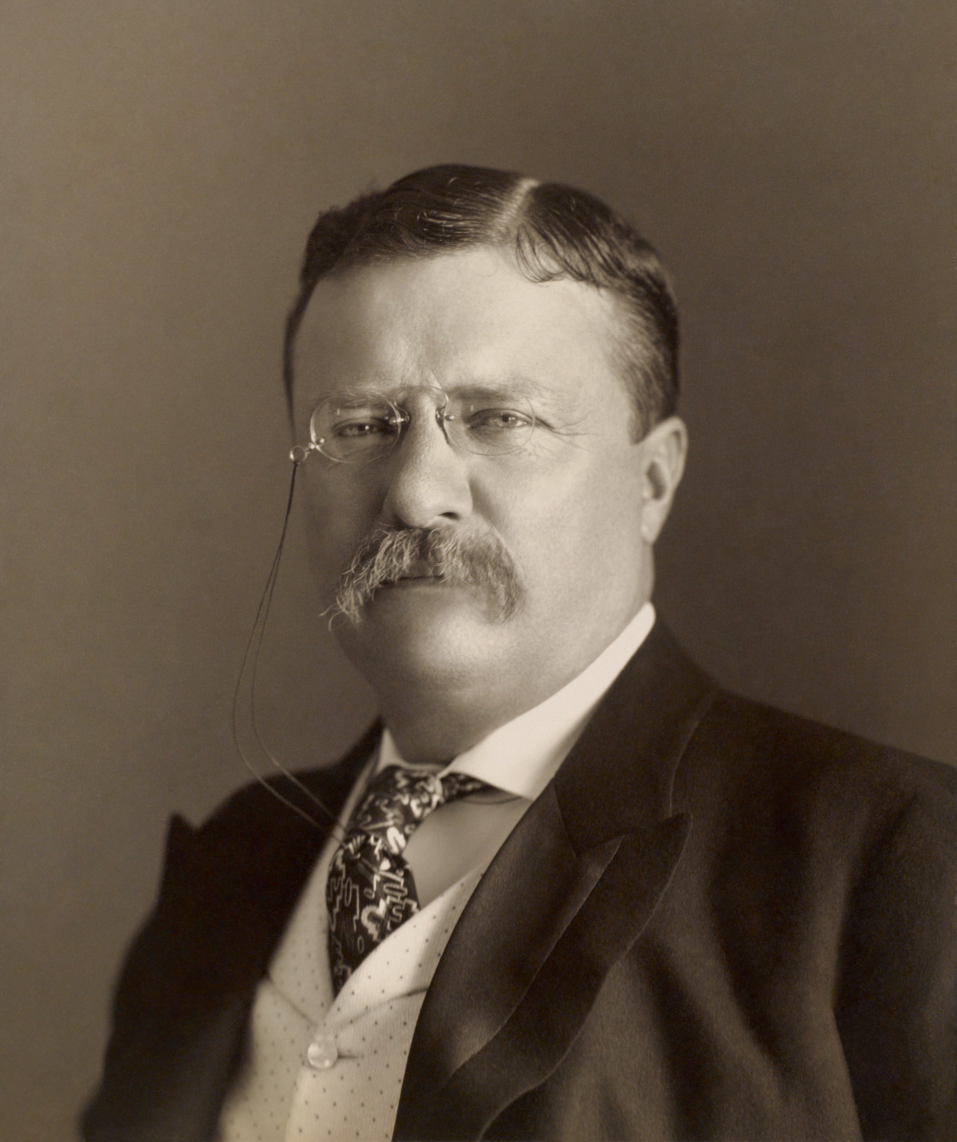 Portrait of Theodore Roosevelt