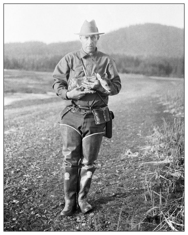 Portrait of Hal G. (Hal George) Evarts