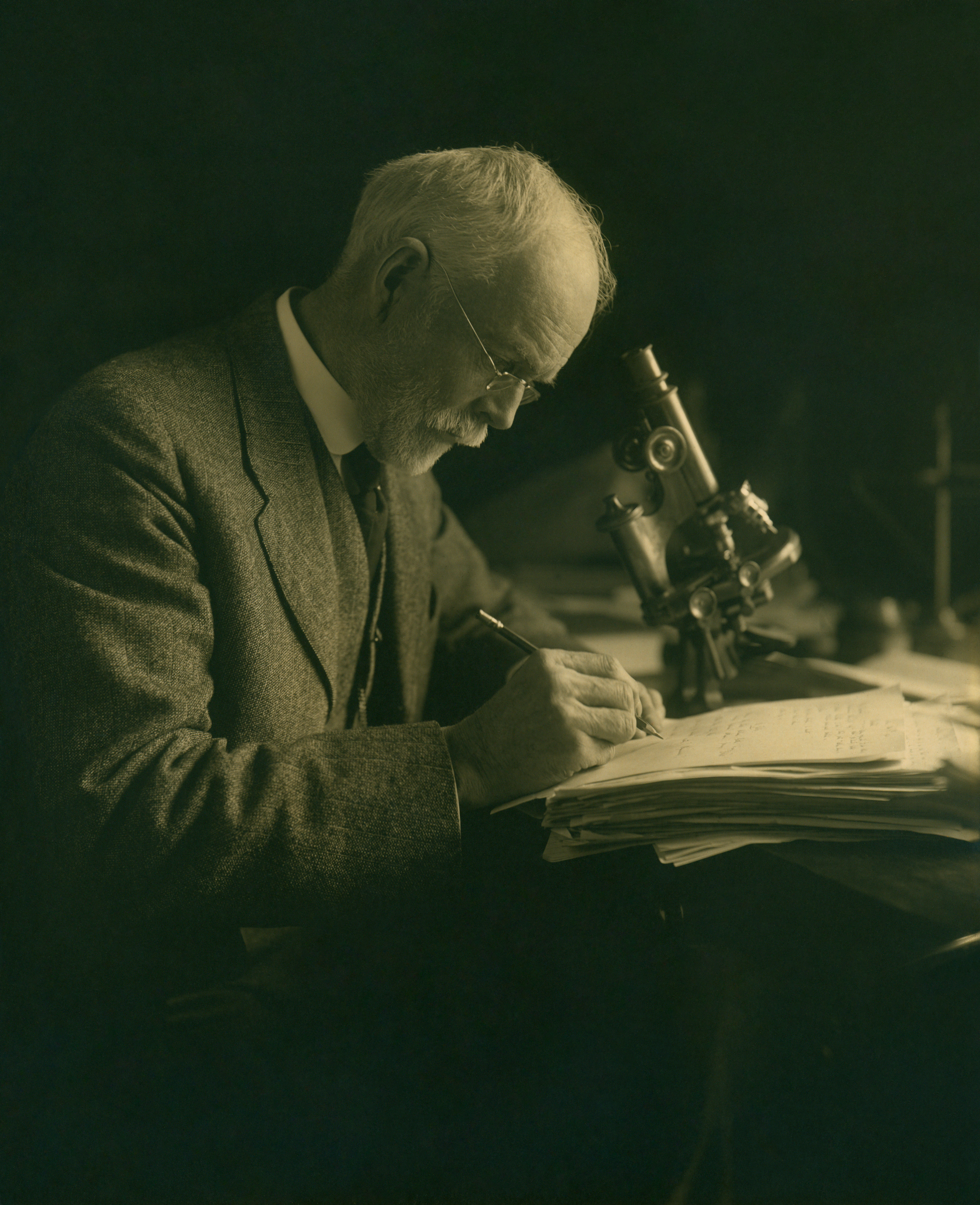 Portrait of Edmund B. (Edmund Beecher) Wilson