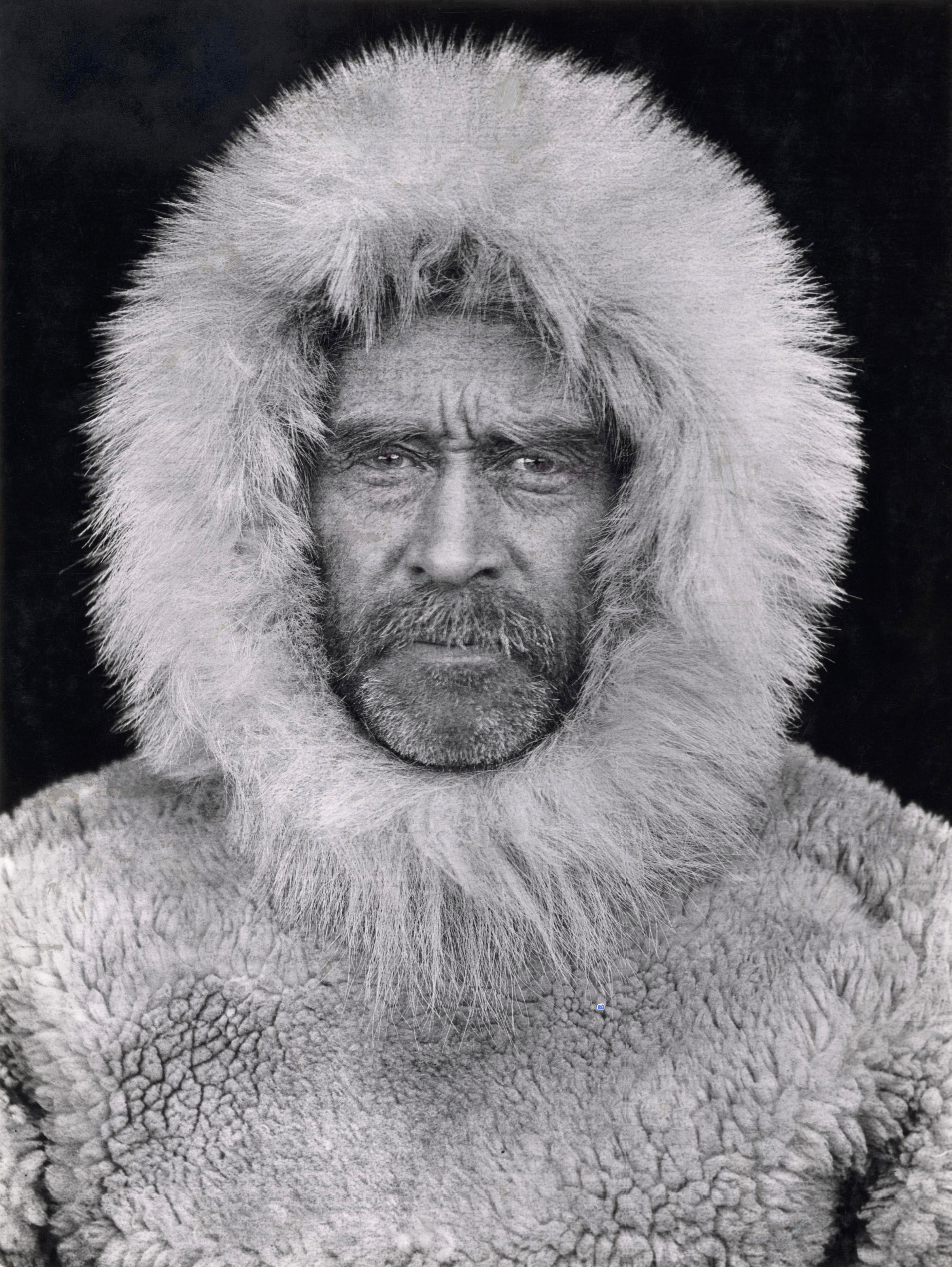 Portrait of Robert E. (Robert Edwin) Peary