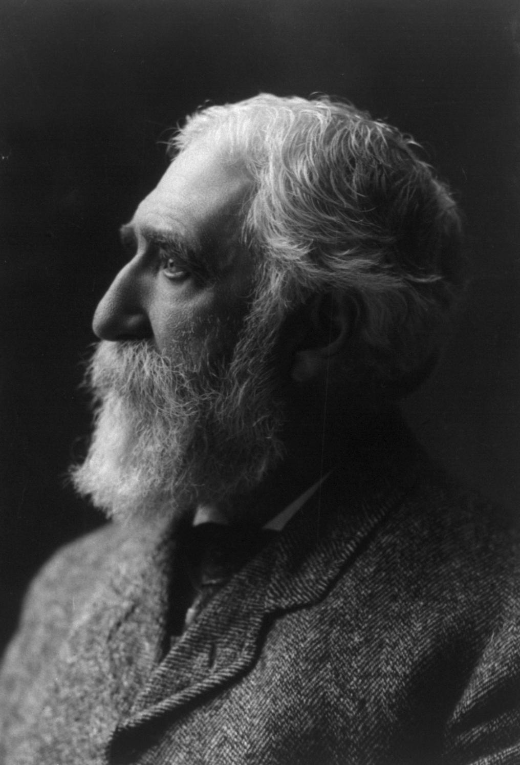 Portrait of Charles Dudley Warner