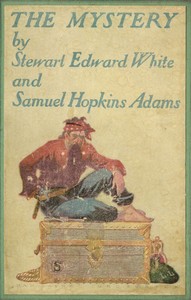 The Mystery by Stewart Edward White