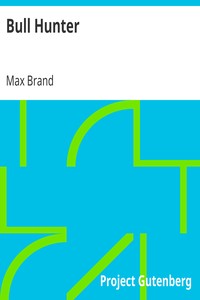 Bull Hunter by Max Brand