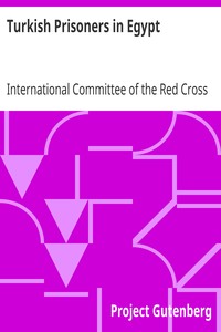 Turkish Prisoners in Egypt
A Report by the Delegates of the International Committee of the Red Cross by International Committee of the Red Cross