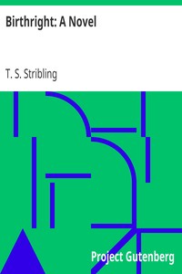 Birthright: A Novel by T. S. (Thomas Sigismund) Stribling