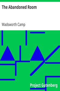 The Abandoned Room by Wadsworth Camp