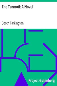 The Turmoil: A Novel by Booth Tarkington