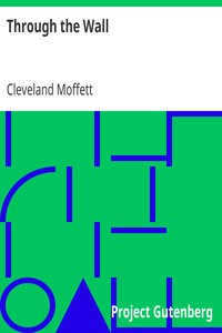 Through the Wall by Cleveland Moffett