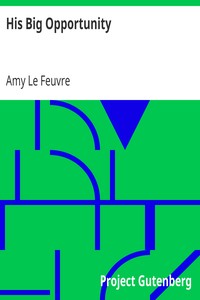 His Big Opportunity by Amy Le Feuvre