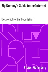 Big Dummy's Guide to the Internet by Electronic Frontier Foundation