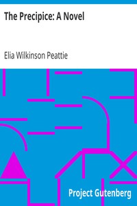 The Precipice: A Novel by Elia Wilkinson Peattie