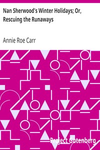 Nan Sherwood's Winter Holidays; Or, Rescuing the Runaways by Annie Roe Carr