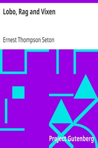Lobo, Rag and Vixen
Being The Personal Histories Of Lobo, Redruff, Raggylug & Vixen by Ernest Thompson Seton