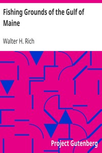 Fishing Grounds of the Gulf of Maine by Walter H. (Walter Herbert) Rich