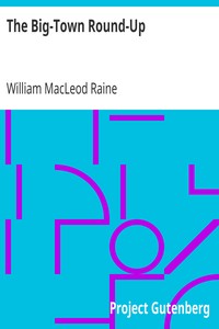 The Big-Town Round-Up by William MacLeod Raine