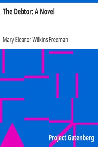 The Debtor: A Novel by Mary Eleanor Wilkins Freeman