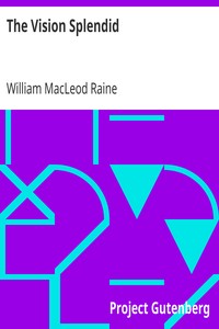 The Vision Splendid by William MacLeod Raine