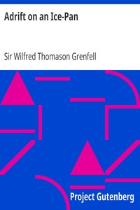 Adrift on an Ice-Pan by Wilfred Thomason Grenfell