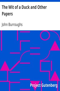 The Wit of a Duck and Other Papers by John Burroughs