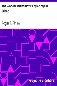 The Wonder Island Boys: Exploring the Island by Roger T. (Roger Thompson) Finlay