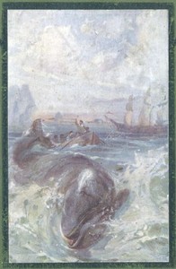 Fighting the Whales by R. M. (Robert Michael) Ballantyne