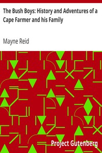 The Bush Boys: History and Adventures of a Cape Farmer and his Family by Mayne Reid